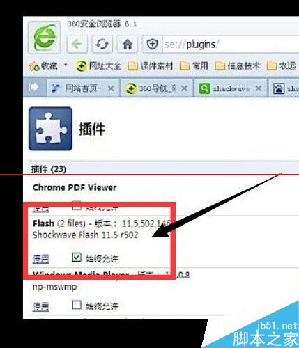 浏览器总是提示shock wave flash has crashed的解决办法