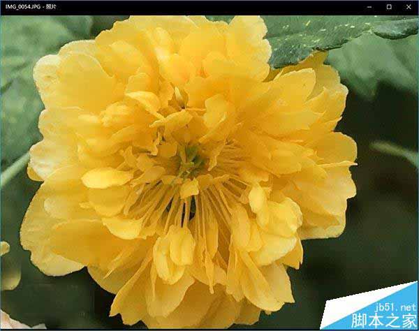 Win10系统怎么正确显示苹果iPhone7拍摄照片?
