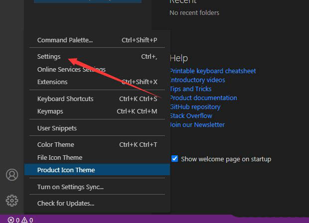 VSCode类型参数怎么显示? VSCode显示类型参数的技巧