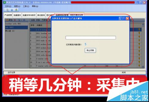 阿里巴巴国际站关键词一键采集分析详解