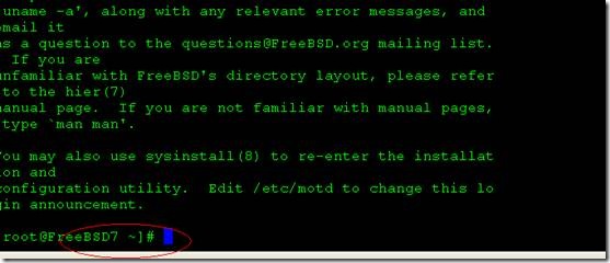 FreeBSD如何添加硬盘?FreeBSD添加硬盘的方法