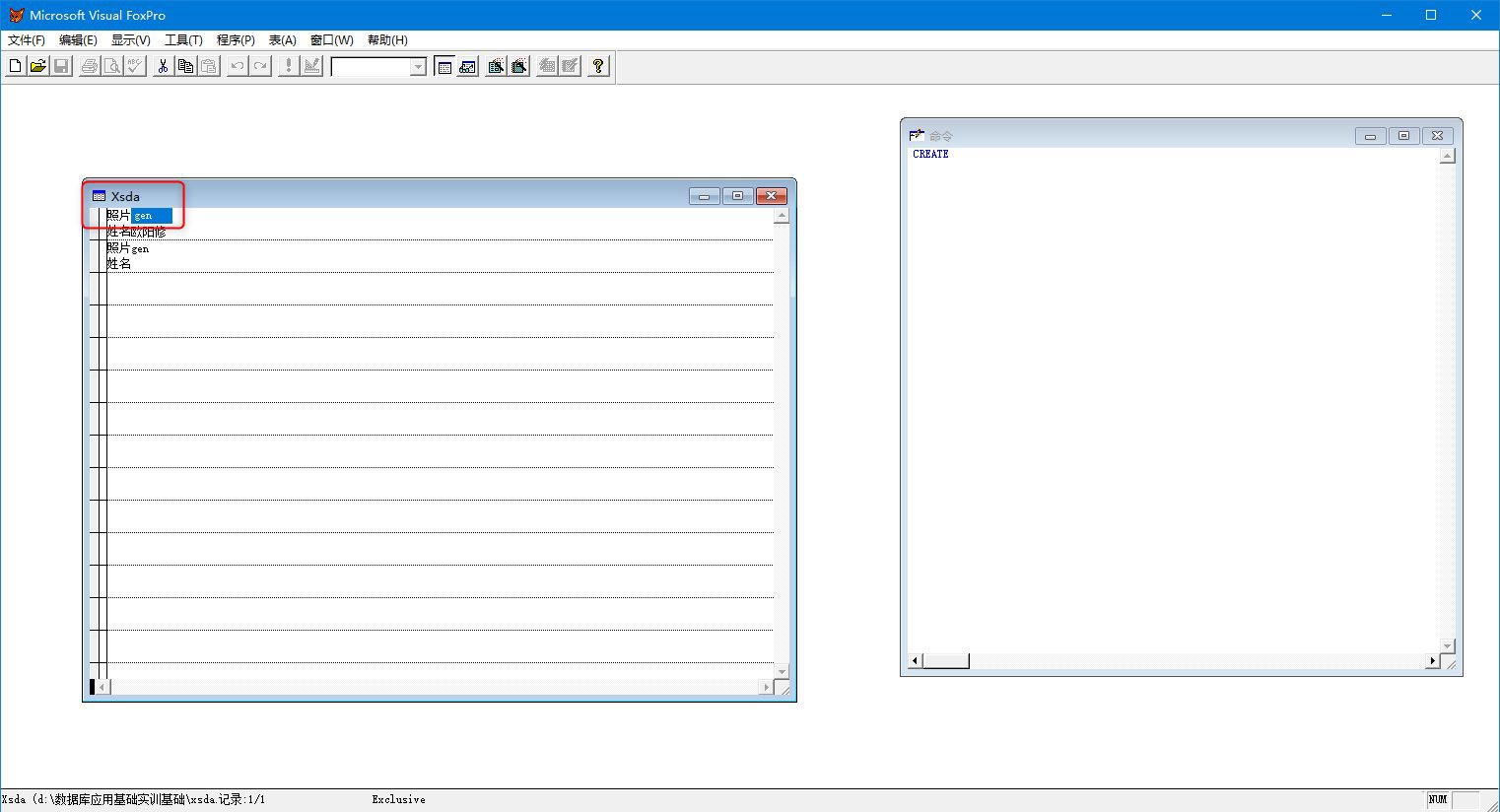 vf6.0怎么给自由表添加照片? vf6.0导入照片的技巧