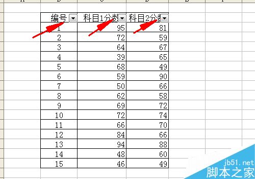 excel中筛选和条件格式的用法介绍