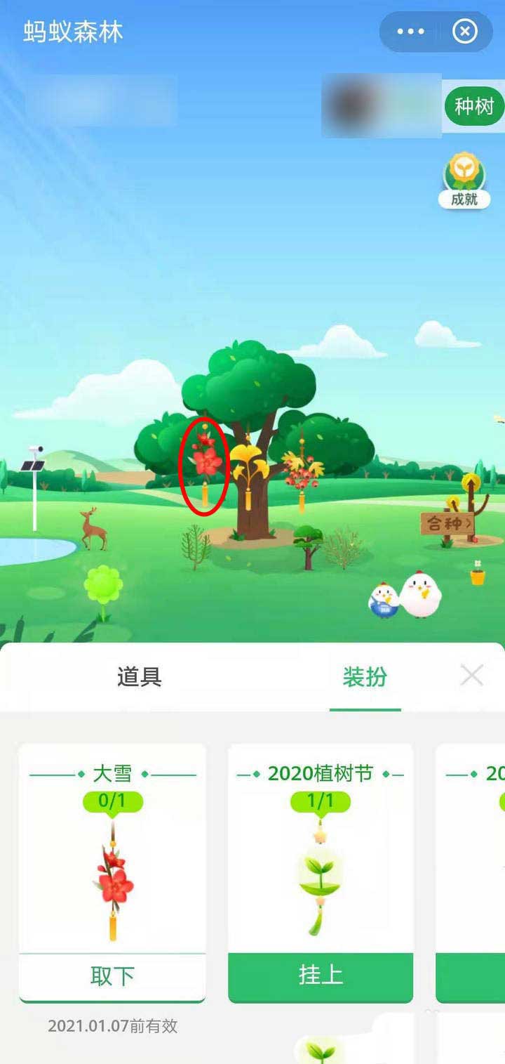 支付宝蚂蚁森林怎么获得大雪挂件?