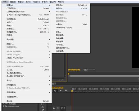 pr中如何制作镜像效果？Premiere制作出镜像效果的方法介绍