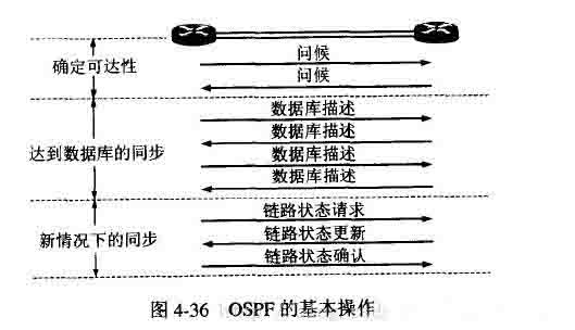 网络协议之内部网关协议OSPF