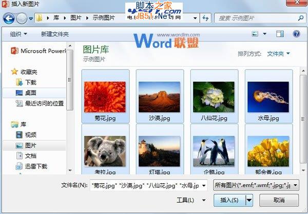 在PowerPoint 2013中如何快速批量导入图片