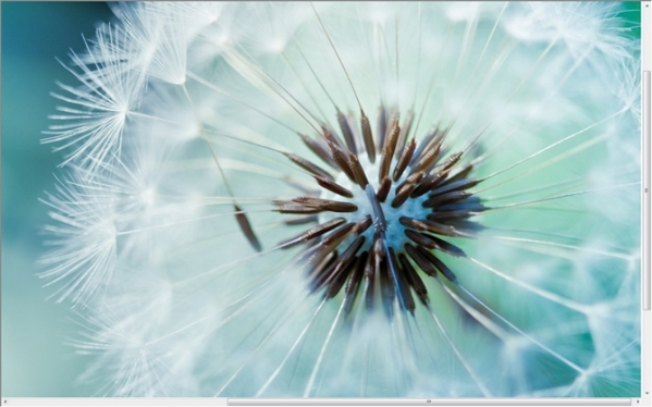 all网站图片批量下载器使用方法