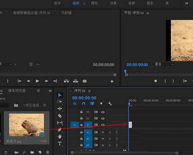 premiere怎么创建文本图层?