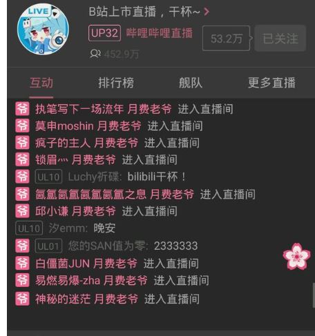 b站月费/年费老爷有什么用?