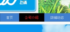 淘宝店铺导航装修怎么编辑？淘宝新旺铺导航CSS代码使用修改技巧