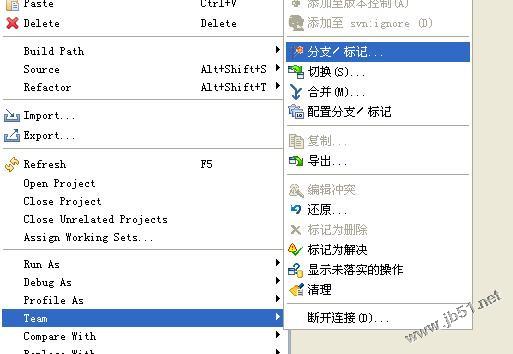 svn建立分支和svn代码合并的操作方法