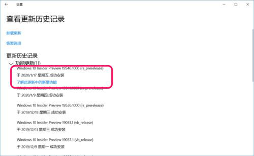 Win10 19551快速预览版怎么手动更新？