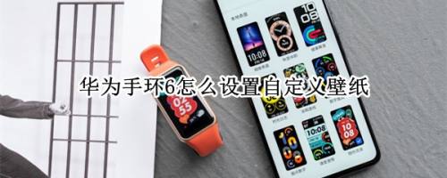 华为手环6怎么自定义表盘? 华为手环6壁纸的设置方法