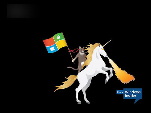 微软Win10 Insider壁纸下载：骑独角鲸、恐龙的忍者猫壁纸