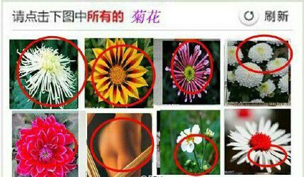 12306验证码图片刷新不出来怎么办 12306验证码刷新频率太快解决办法