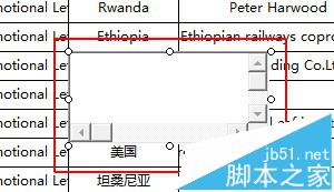 Excel单元格复制文本时窗口框无法是删除该怎么办?