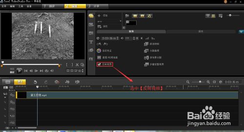 会声会影制作反转视频（倒放视频）的技巧