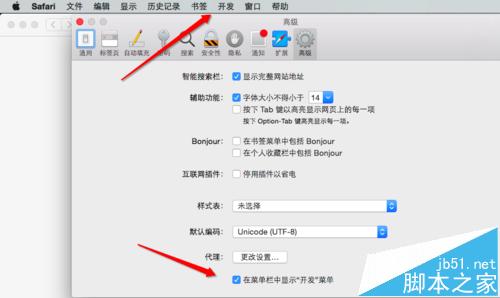 MAC系统中怎么开启Safari开发者模式?