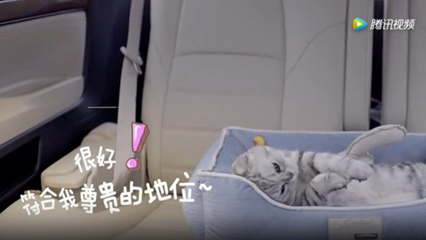 菜鸟裹裹萌急送是什么 菜鸟裹裹萌急送宠物递送服务详细介绍