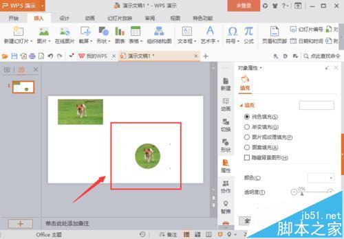 WPS中的图片怎么改变形状?