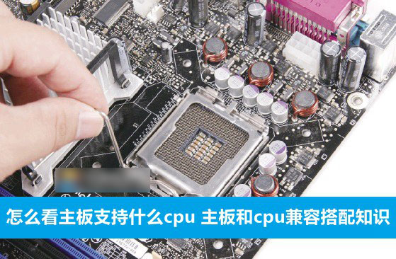 怎么知道主板支持什么CPU？主板和cpu兼容搭配知识介绍