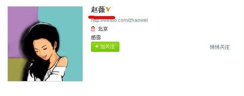 新浪微博如何加v 新浪微博加v认证方法图文介绍