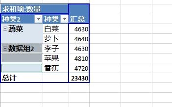 Excel2013数据透视表字段分组图文步骤