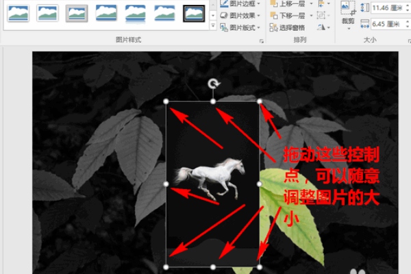 PPT快速去除图片背景的教程