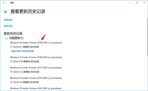 Win10 Dev预览版Build 20197怎么手动更新