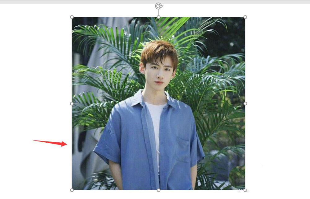 ppt艺术照怎么变成证件照? ppt证件照换背景颜色的技巧