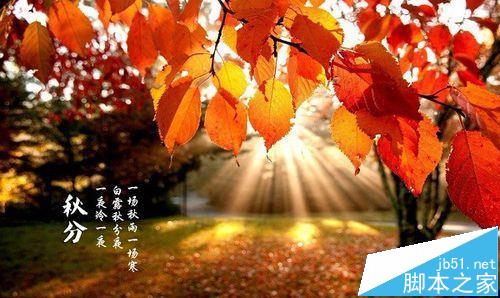 windows自带的画图工具怎么剪切调整图片大小?