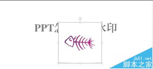 ppt2013中图片怎么添加水印? ppt图片添加水印的教程
