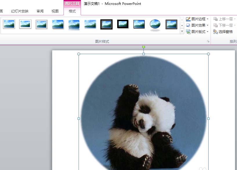 ppt图片怎么裁剪成圆形图?