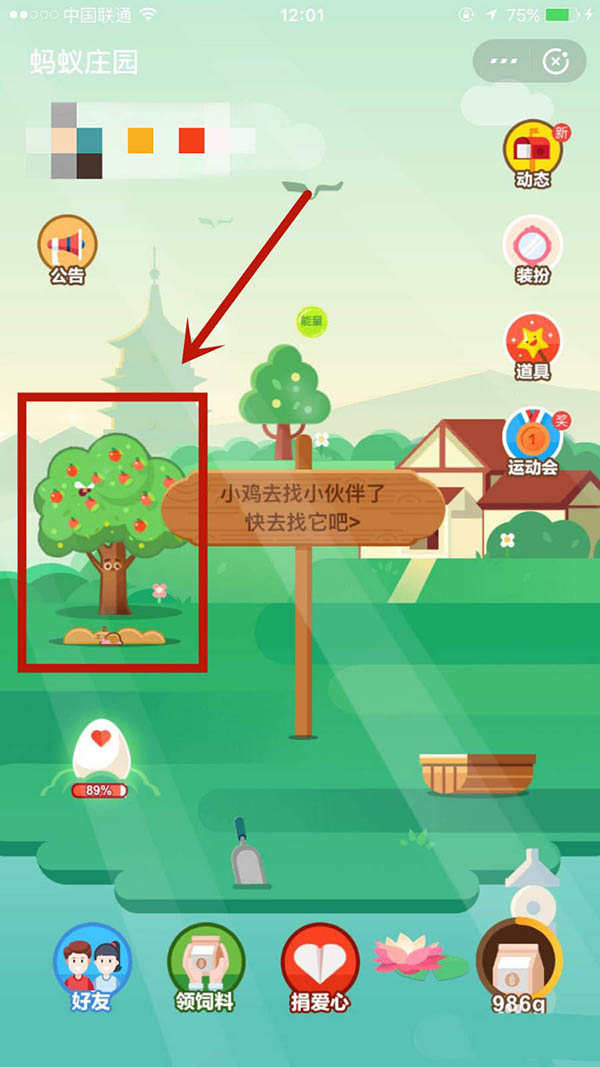蚂蚁庄园小鸡便便有什么用? 蚂蚁庄园收集肥料的教程
