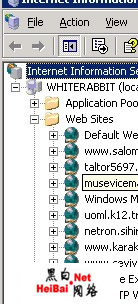入侵土耳其网站实例