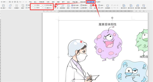 如何解决wps插图不出框? wps图框不显示的解决办法