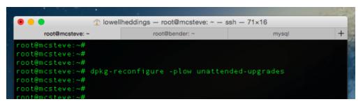 Ubuntu服务器怎么设置每天自动进行安全更新?