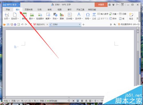 WPS文字中怎么添加页码并设置页码位置?