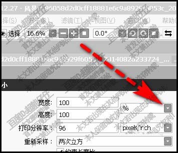 SAI怎么调整图片的大小?