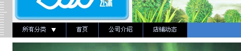淘宝店铺导航装修怎么编辑？淘宝新旺铺导航CSS代码使用修改技巧