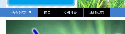 淘宝店铺导航装修怎么编辑？淘宝新旺铺导航CSS代码使用修改技巧