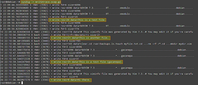 使用sysdig监控和排除Linux系统服务器故障的方法