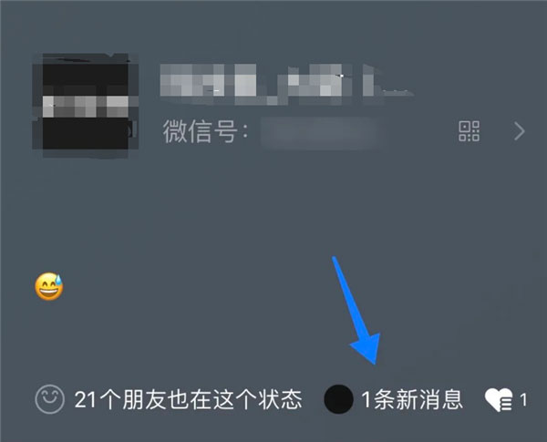 微信8.0.1不显示在线状态怎么办? 微信在线状态的设置方法