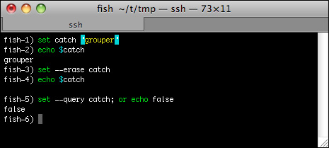 在Mac OS上使用Fish Shell的基础教程