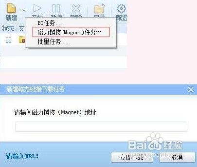 磁力链接怎么用 磁力链接下载种子使用方法