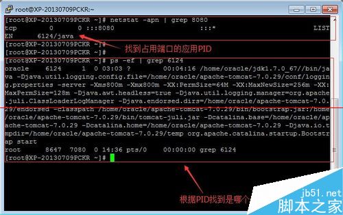 linux系统用什么命令查看端口的占用情况？