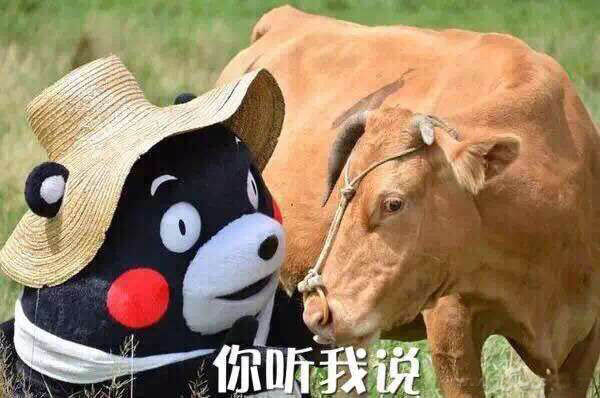 买显示器要注意什么?购买显示器容易被坑的几个事项