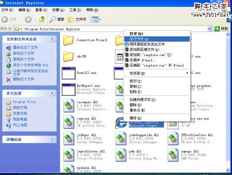 IE8在登录淘宝时自动关闭或内存指令错误的原因及解决方法
