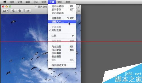 苹果电脑Macbook怎么调整图像的大小？